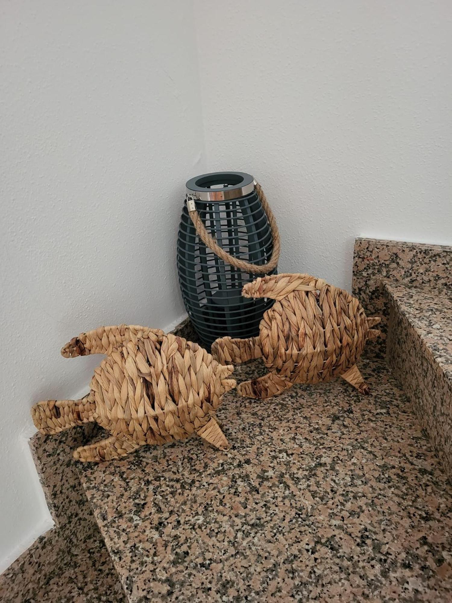 סן חוויאר King'S Apartments מראה חיצוני תמונה